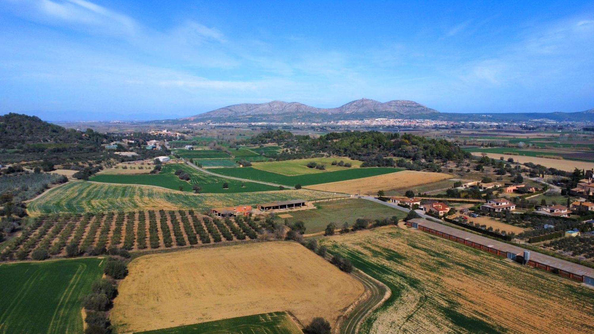 Mas Vermell Casa di campagna